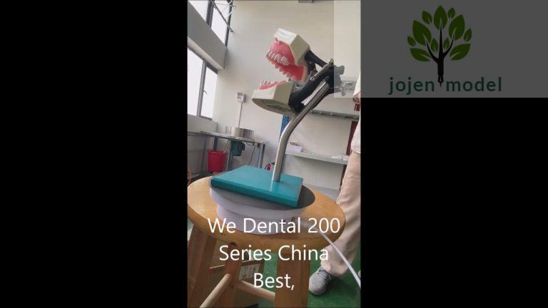 Dental 200 Series China Best Manufacturer,dental articulated model China High Quality Manufacturer,