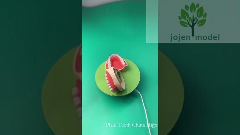 Plain Teeth China High Quality Company,Dental 200 Series price China Manufacturer.