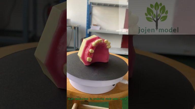 Periodontal Disease Demonstration 2x Size Model China customize.Educational Model for Implant Dentur