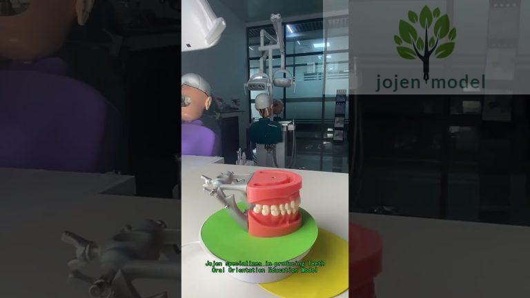 implant practice model Manufacturer in China,dental crown models Manufacturer in China.