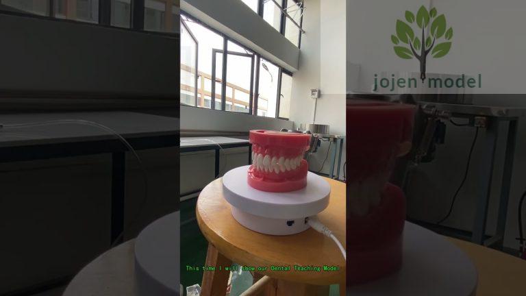 dental base model mold former China Factory,Rubber Mold Form Plaster Model China wholesaler.