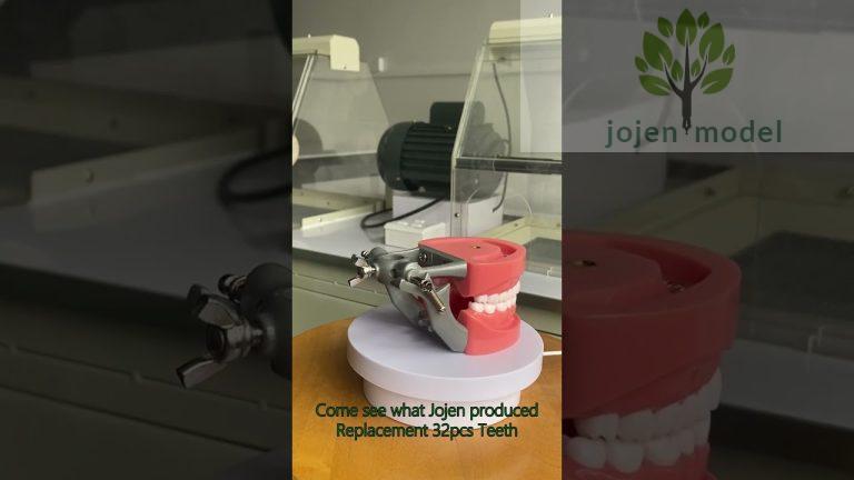 Typodont Teeth Manufacturer in China,periodontal disease models China wholesaler.