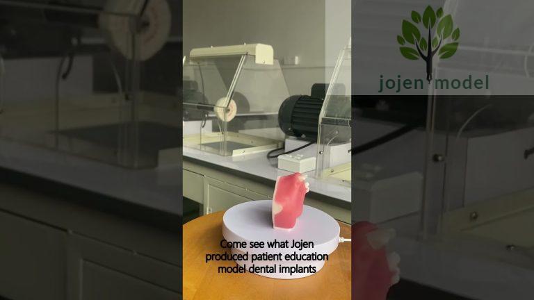 Dental Patient Education models China customize,Patient Education Models China wholesaler.