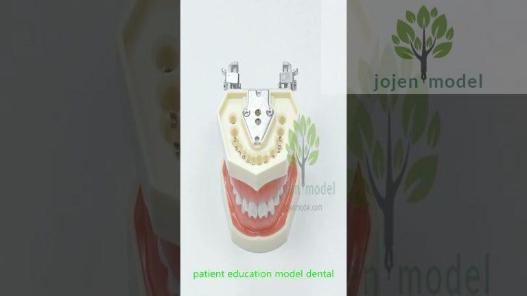 Baby Bottle Tooth Pathology Decay Dental Model china manufacturer,china customize.