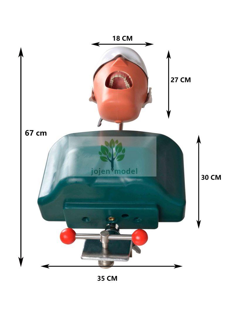 Phantom Head Simulators: Revolutionizing Dental Education with Jojen Model’s Advanced Solutions