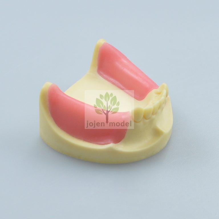 Revolutionizing Dental Education with Jojen Model’s Typodont Teeth