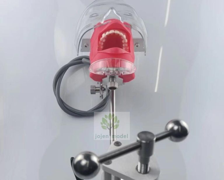 Revolutionizing Dental Education: The Cutting-Edge Jojen Model Dental Manikin Simulator